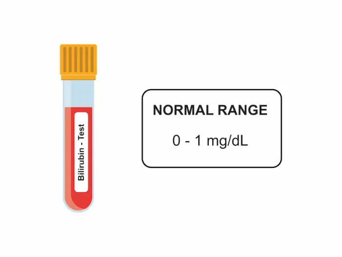 Bilirubin Test: Normal Range, What It Means, and Next Steps